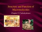 Structure and Function of Macromolecules - slide 1