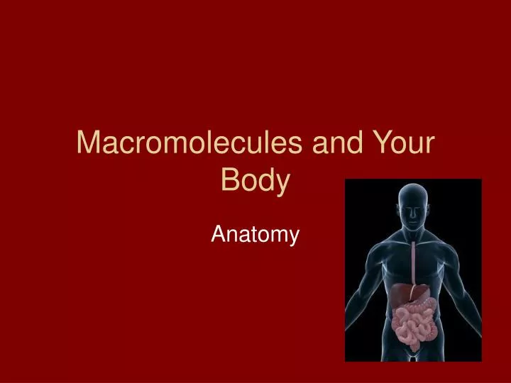 macromolecules and your body