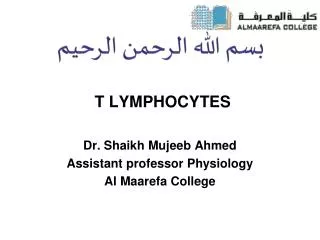 T LYMPHOCYTES
