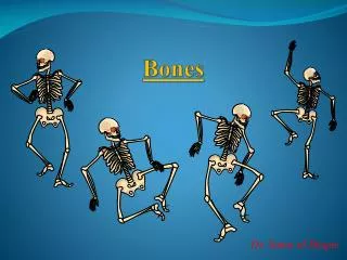 Bones