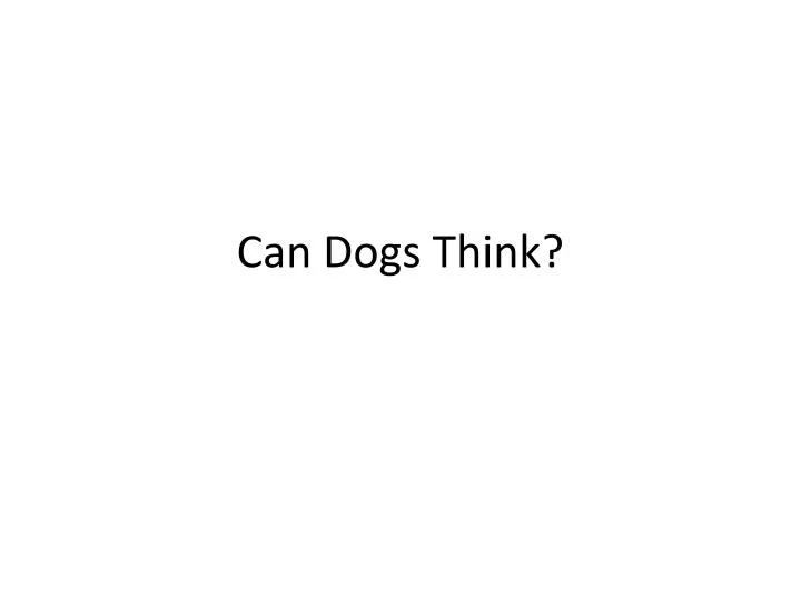 can dogs think