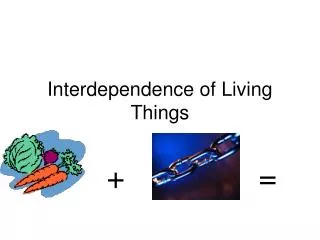 interdependence of living things