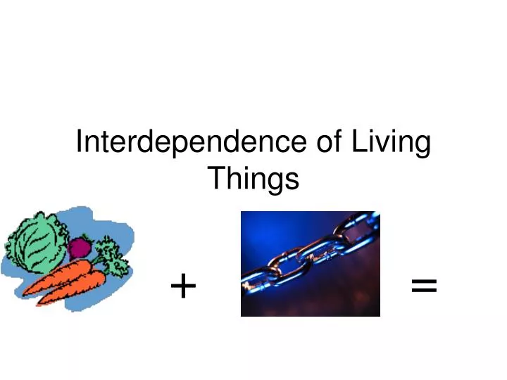 interdependence of living things