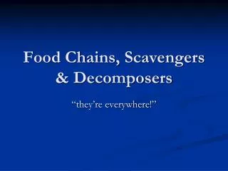 Food Chains, Scavengers &amp; Decomposers
