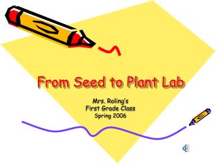 From Seed to Plant Lab