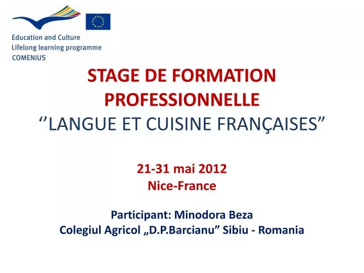 stage de formation professionnelle langue et cuisine fran aises 21 31 mai 2012 nice france