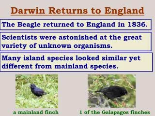 Darwin Returns to England