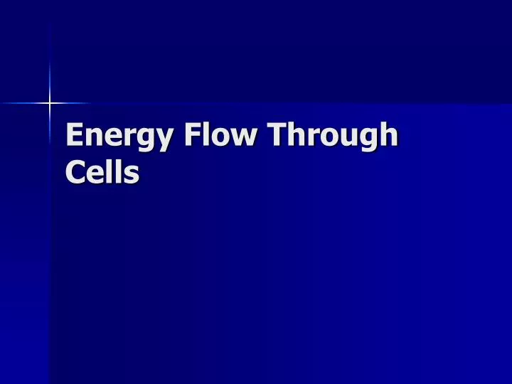 energy flow through cells