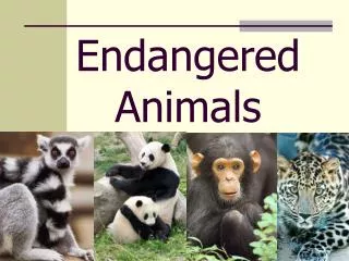 endangered animals