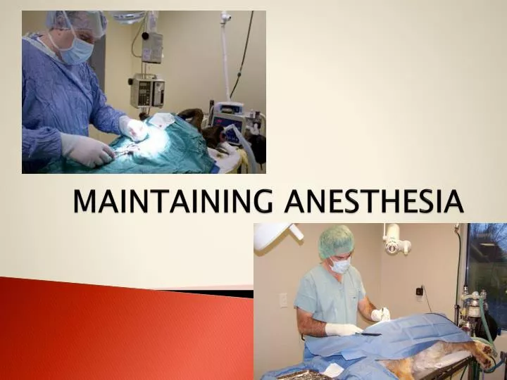 maintaining anesthesia