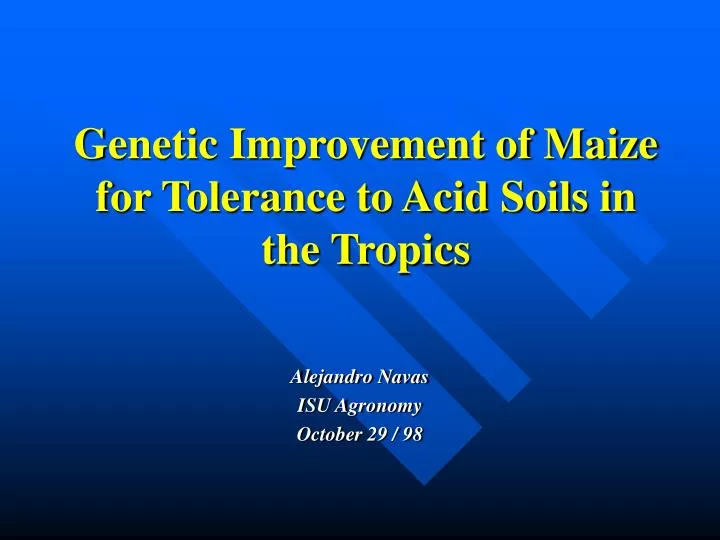 genetic improvement of maize for tolerance to acid soils in the tropics