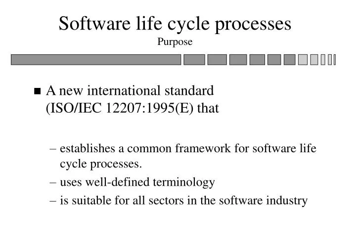 software life cycle processes purpose