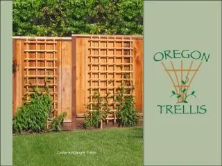 Cedar Rectangle Trellis