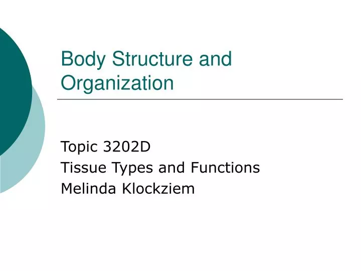 body structure and organization