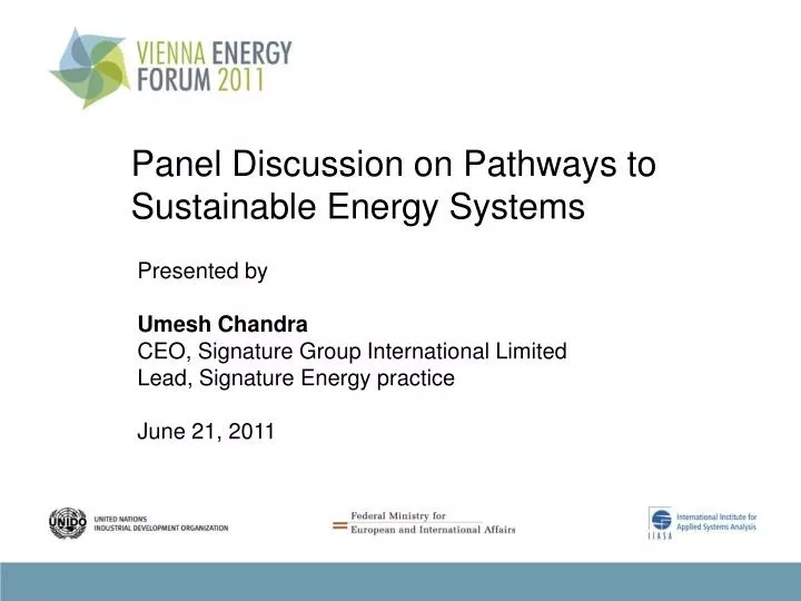 panel discussion on pathways to sustainable energy systems