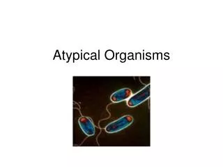 Atypical Organisms