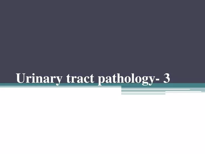 urinary tract pathology 3