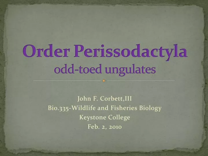 order perissodactyla odd toed ungulates