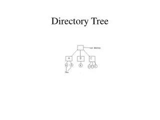 Directory Tree