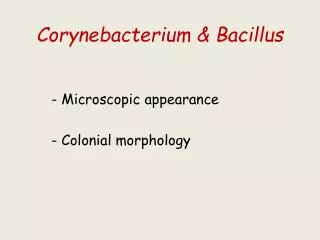 Corynebacterium &amp; Bacillus