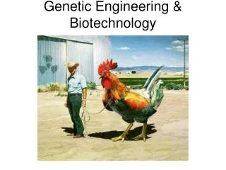 Genetic Engineering &amp; Biotechnology