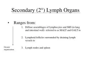 Secondary (2 °) Lymph Organs