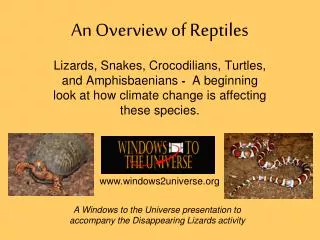 An Overview of Reptiles