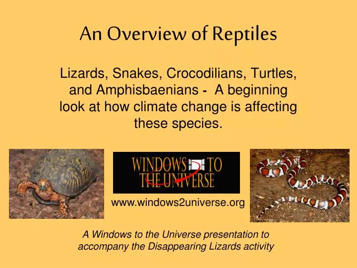 an overview of reptiles