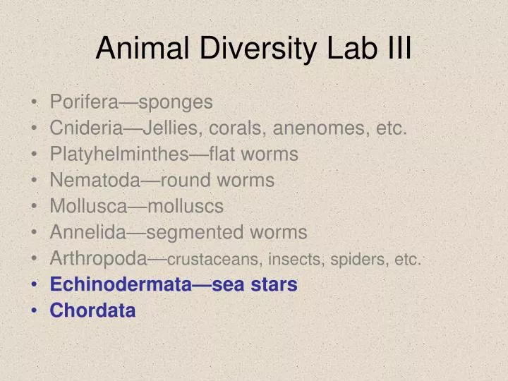 animal diversity lab iii