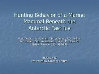 Hunting Behavior of a Marine Mammal Beneath the Antarctic Fast Ice