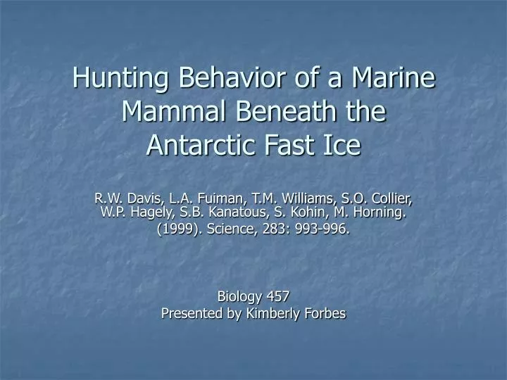 hunting behavior of a marine mammal beneath the antarctic fast ice