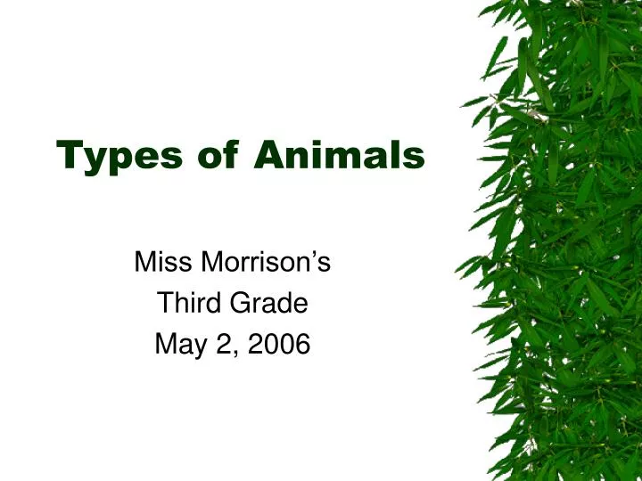 types of animals