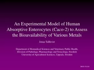 An Experimental Model of Human Absorptive Enterocytes (Caco-2) to Assess the Bioavailability of Various Metals