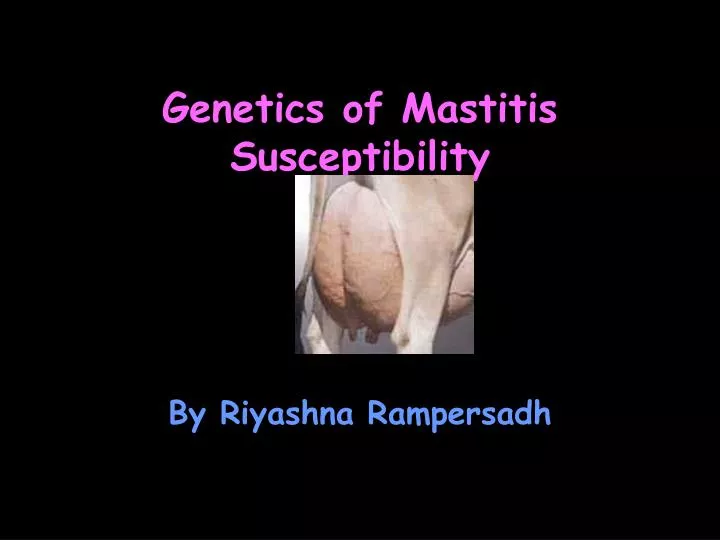 genetics of mastitis susceptibility