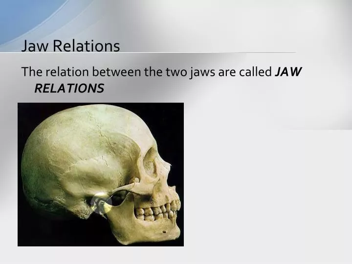 jaw relations