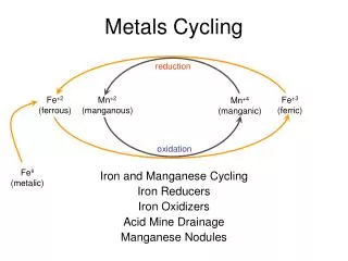 Metals Cycling