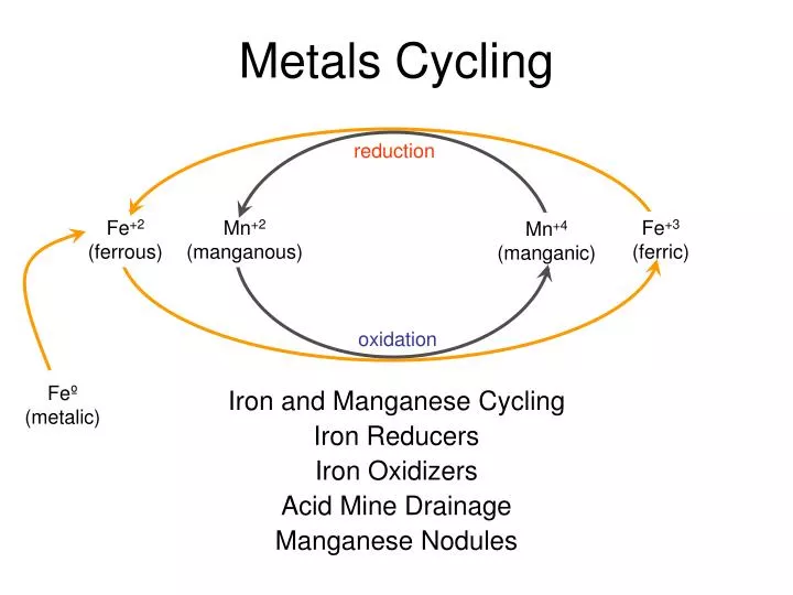 metals cycling