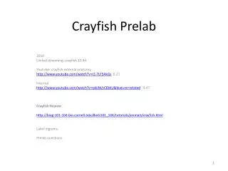 Crayfish Prelab
