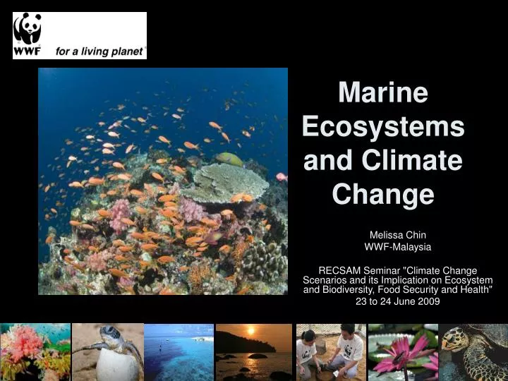marine ecosystems and climate change