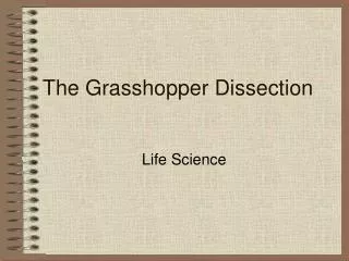 The Grasshopper Dissection