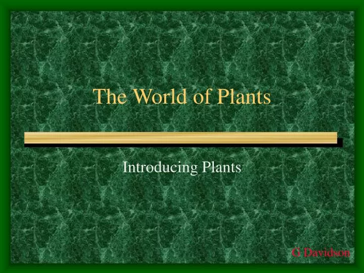 the world of plants