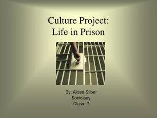 Culture Project: Life in Prison