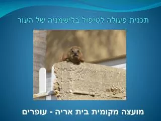 תכנית פעולה לטיפול בלישמניה של העור