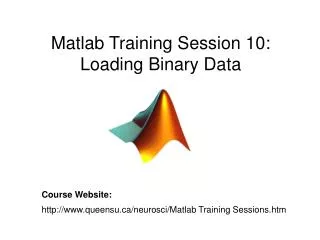 Matlab Training Session 10: Loading Binary Data