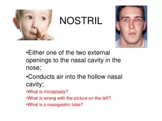 NOSTRIL