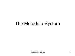 The Metadata System