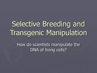 Selective Breeding and Transgenic Manipulation