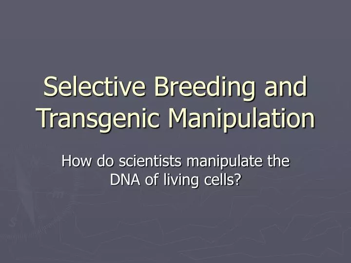 selective breeding and transgenic manipulation