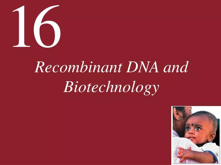 recombinant dna and biotechnology