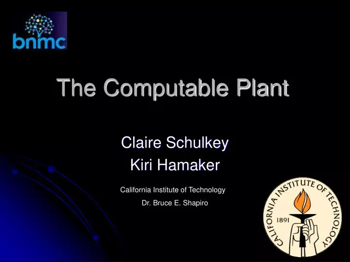 the computable plant